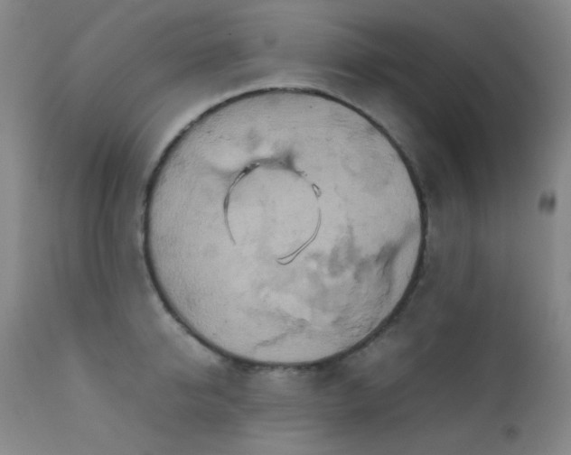 X0000111900950200907271154