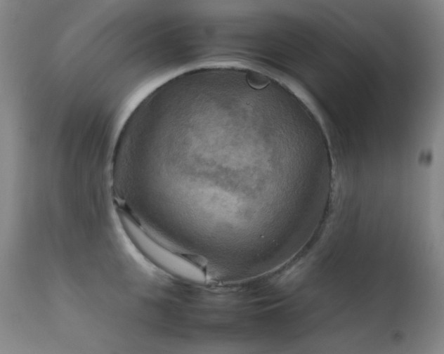 X0000111900951200907271154