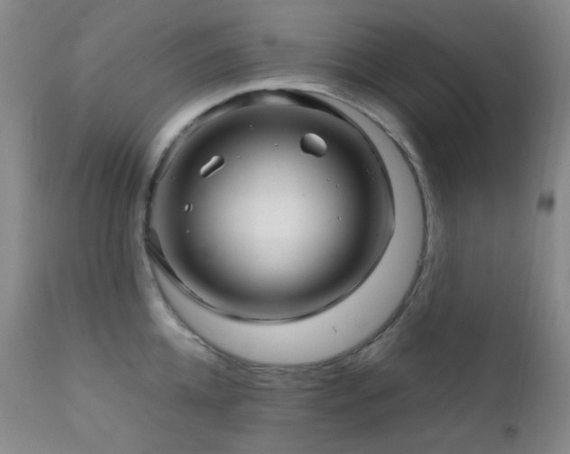 X0000111900952200907271154