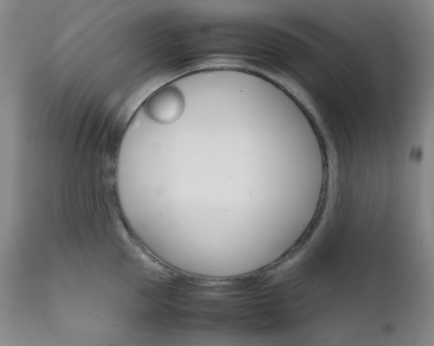 X0000111900953200907271154