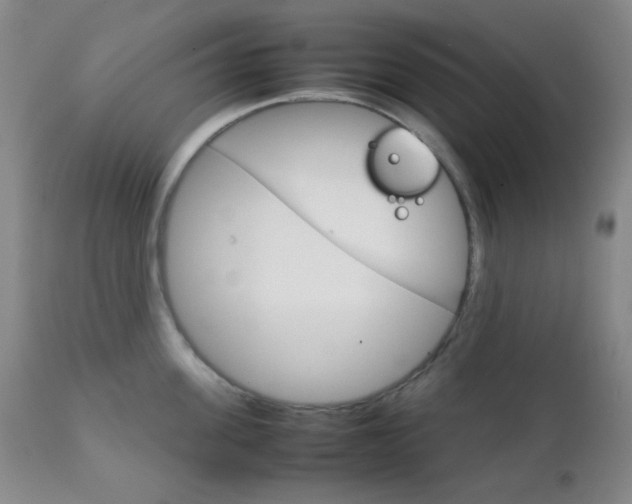 X0000111900955200907271154