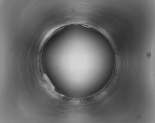 X0000111900956200907271154