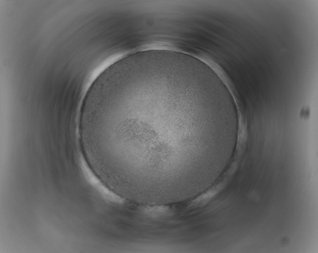 X0000111900957200907271154