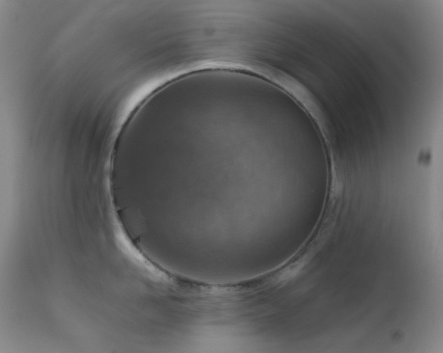 X0000111900958200907271154