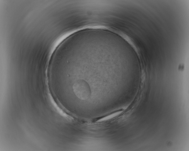 X0000111900959200907271154