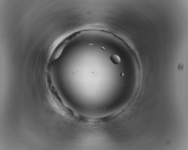 X0000111900960200907271154