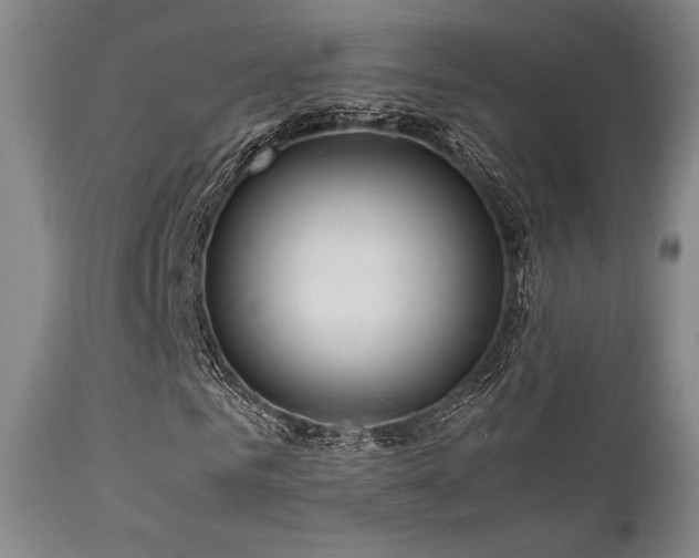 X0000111900961200907271154