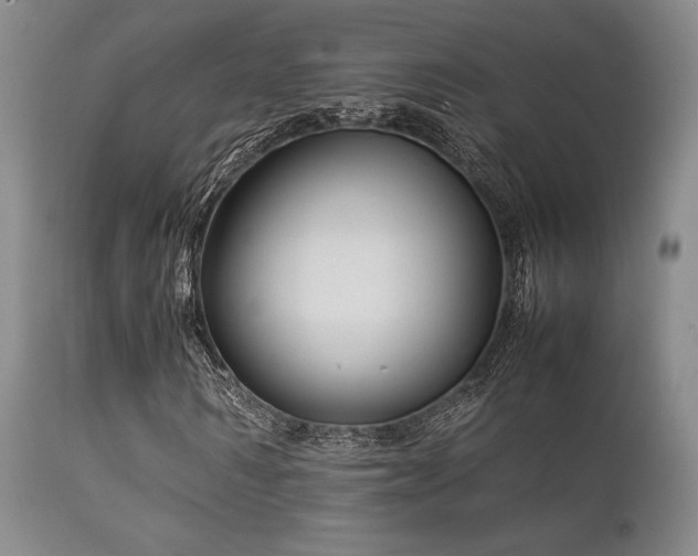 X0000111900962200907271154