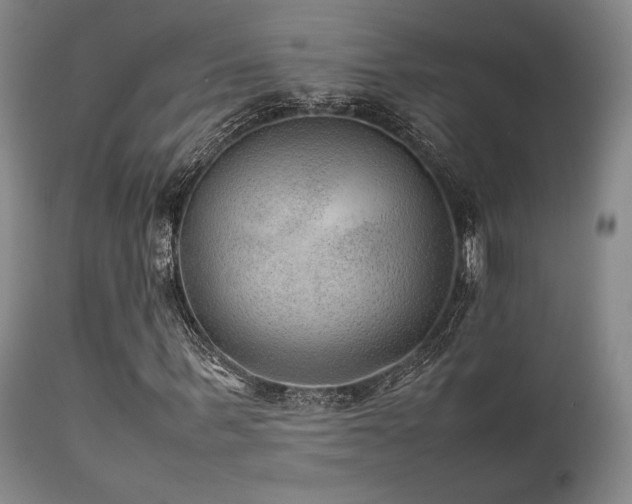 X0000111900963200907271154