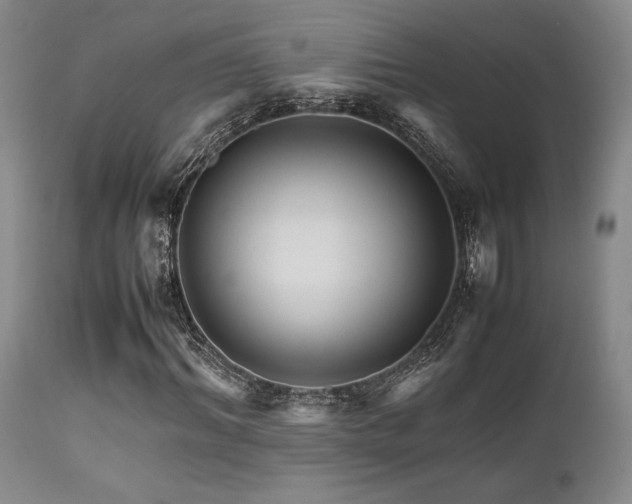 X0000111900964200907271154