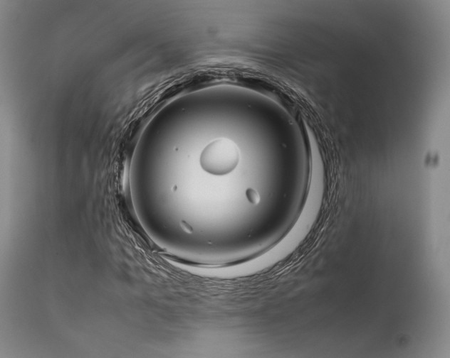 X0000111900965200907271154