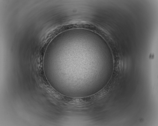 X0000111900966200907271154