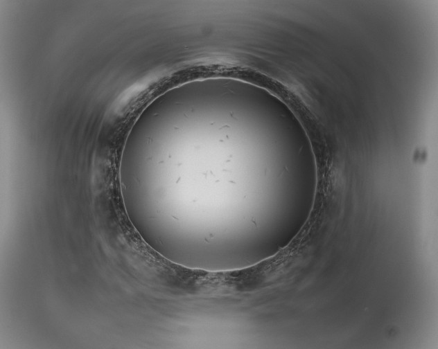 X0000111900967200907271154