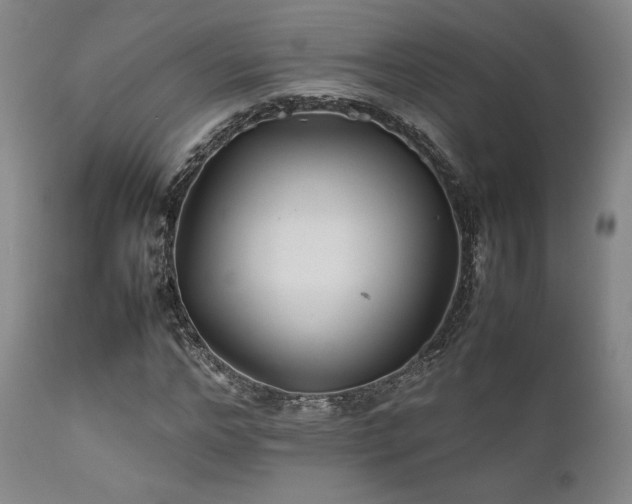 X0000111900968200907271154