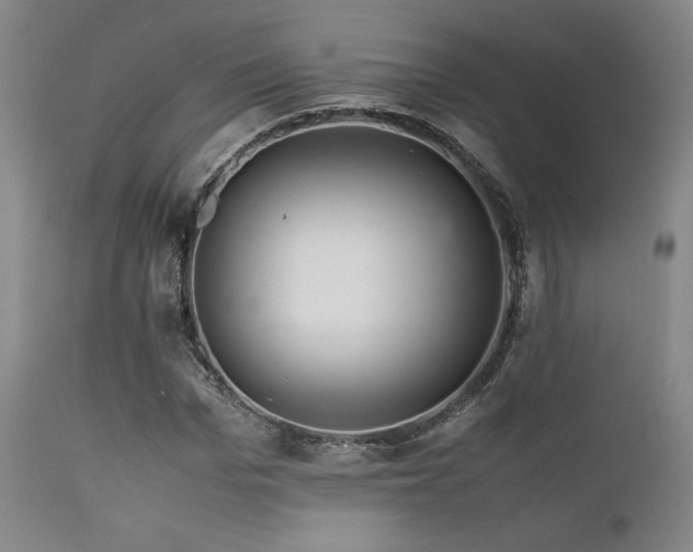 X0000111900969200907271154