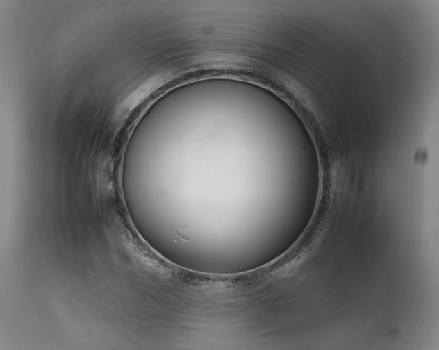 X0000111900970200907271154