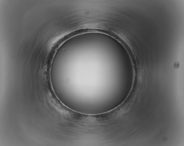 X0000111900971200907271154