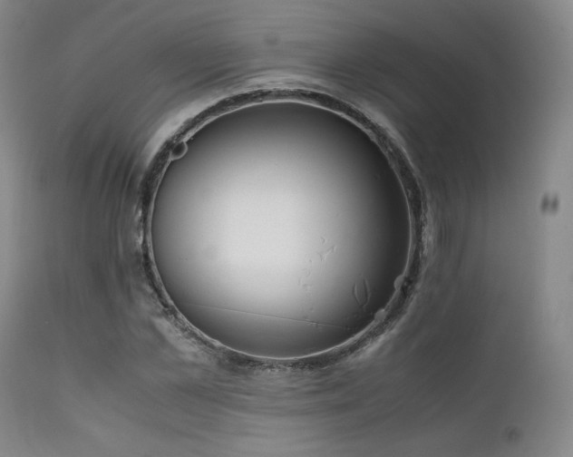 X0000111900973200907271154