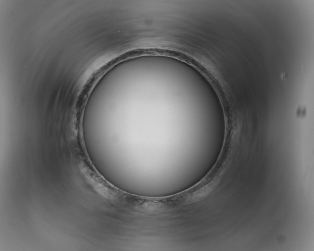 X0000111900974200907271153