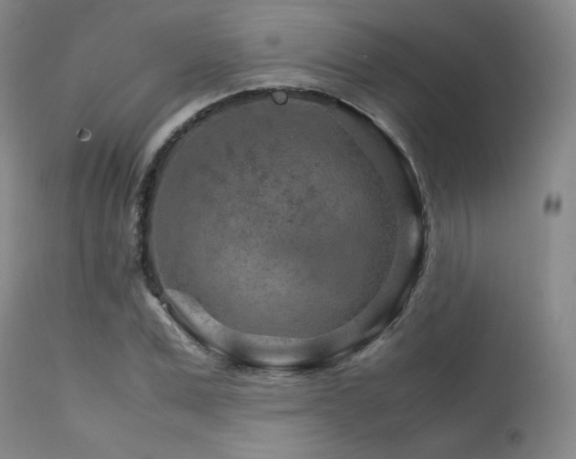 X0000111900975200907271153