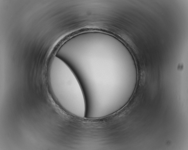 X0000111900976200907271153