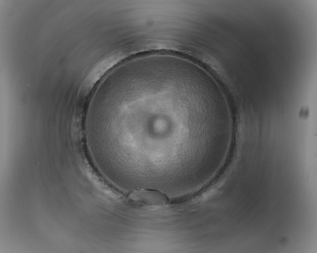 X0000111900977200907271153