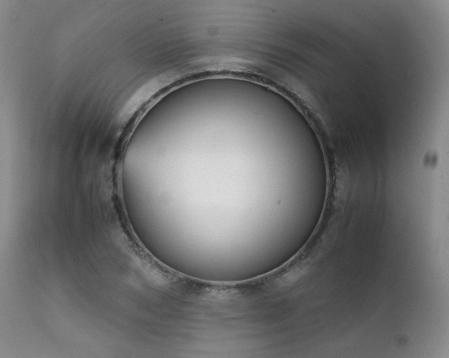 X0000111900978200907271153