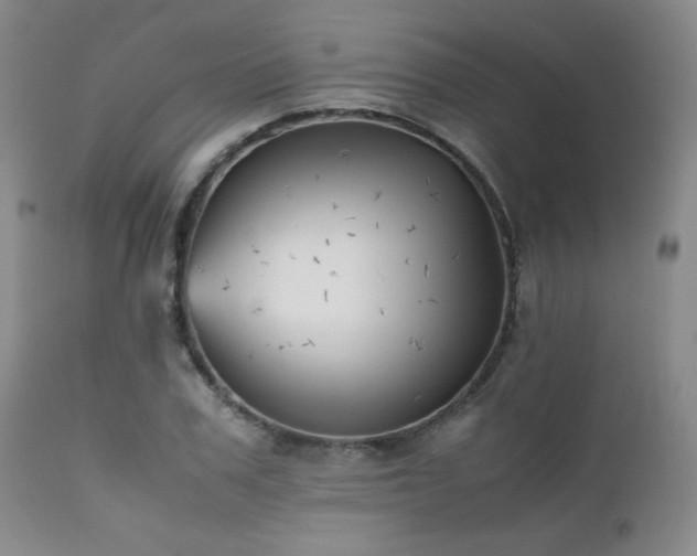 X0000111900979200907271153