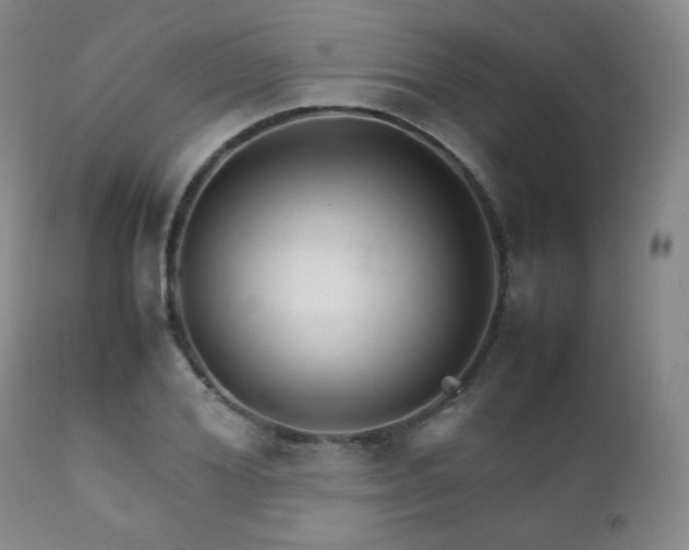 X0000111900980200907271153