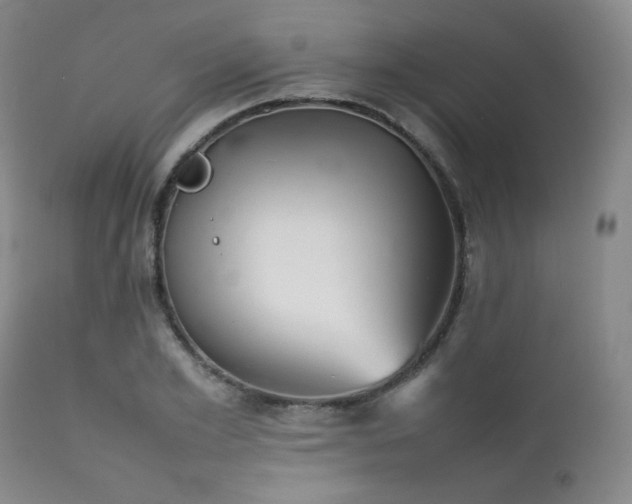 X0000111900981200907271153