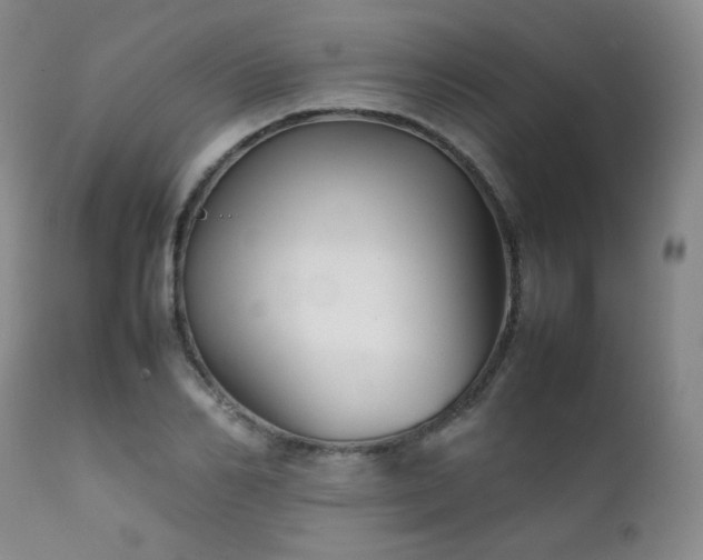 X0000111900982200907271153