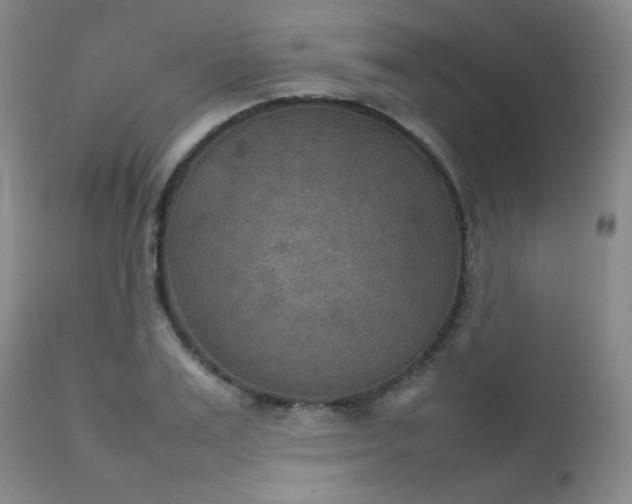 X0000111900983200907271153