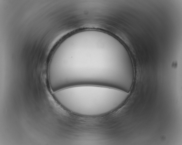 X0000111900984200907271153