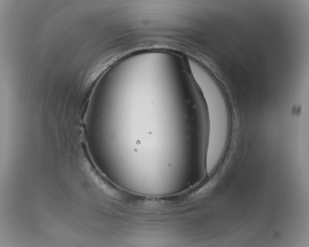 X0000111900985200907271153