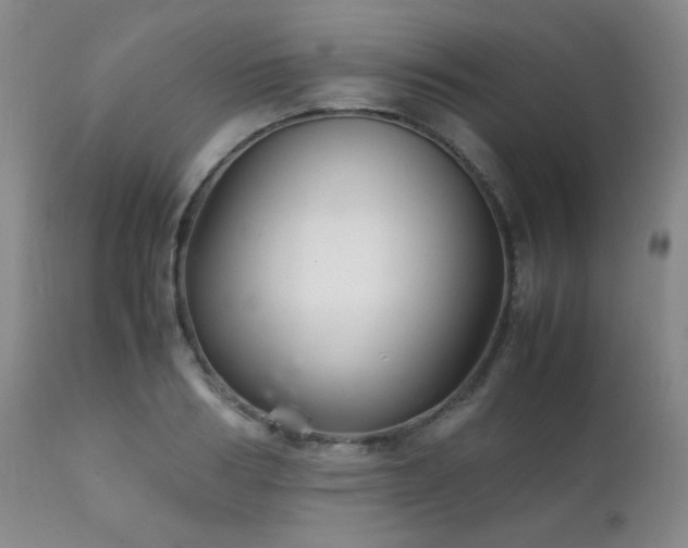 X0000111900986200907271153