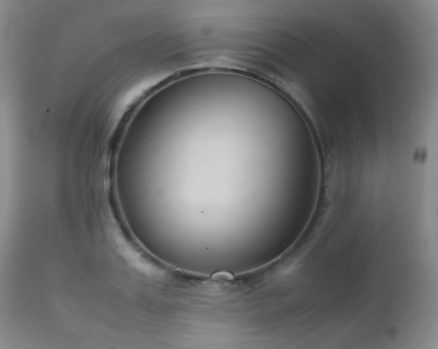 X0000111900987200907271153