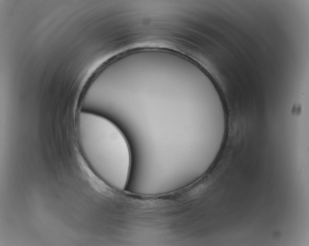 X0000111900988200907271153