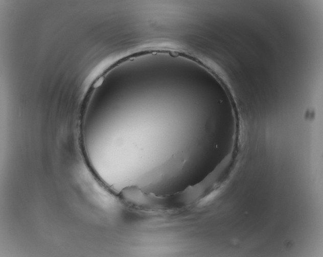 X0000111900989200907271153