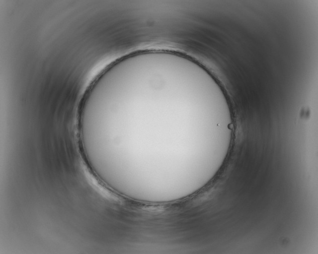 X0000111900990200907271153