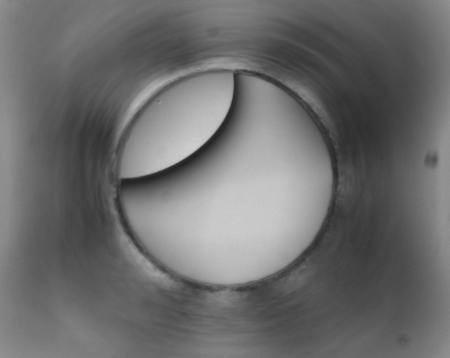 X0000111900992200907271153