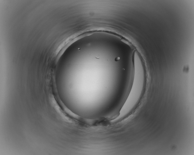 X0000111900993200907271153