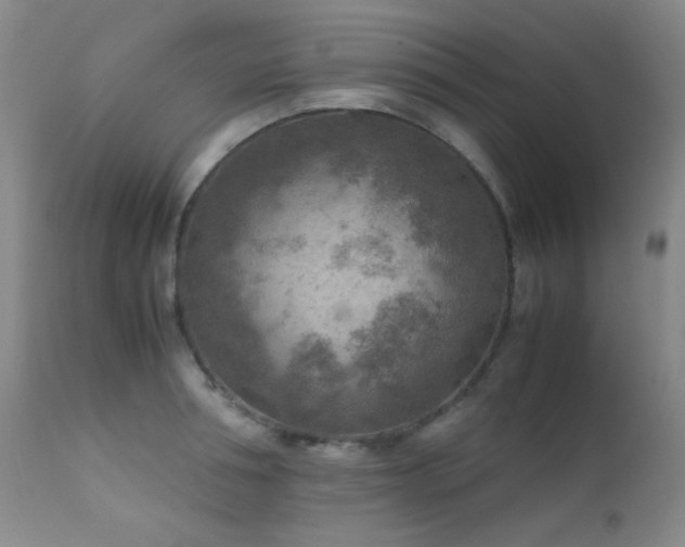 X0000111900994200907271153