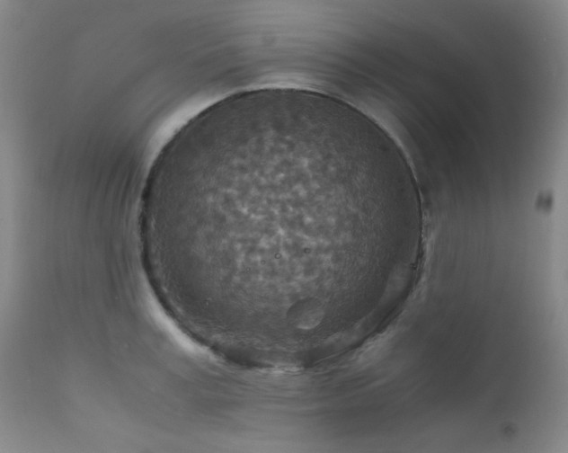 X0000111900995200907271153