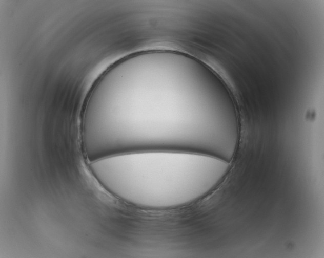 X0000111900996200907271153