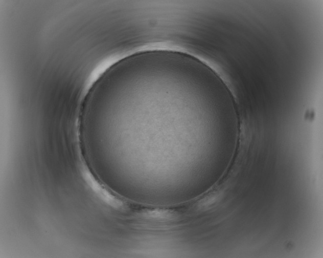 X0000111900998200907271153