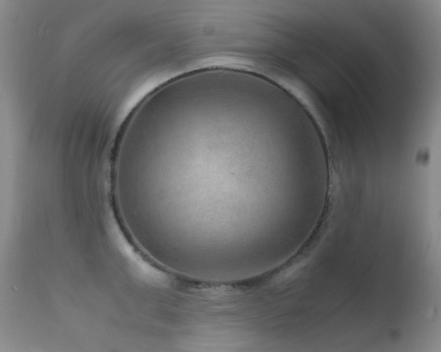 X0000111900999200907271153