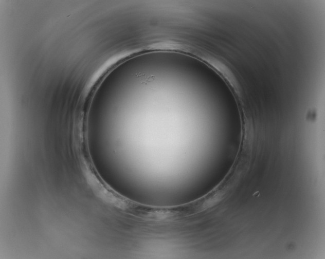 X0000111901000200907271153