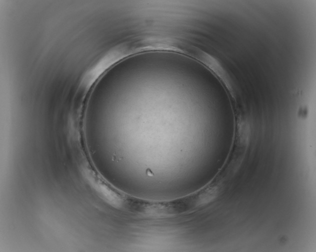 X0000111901002200907271153