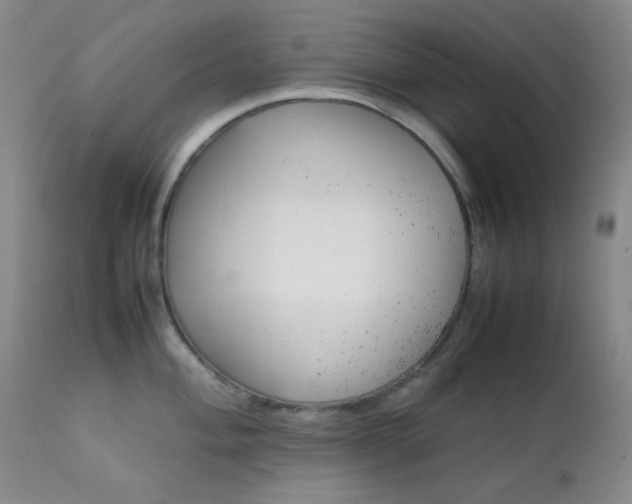 X0000111901004200907271153