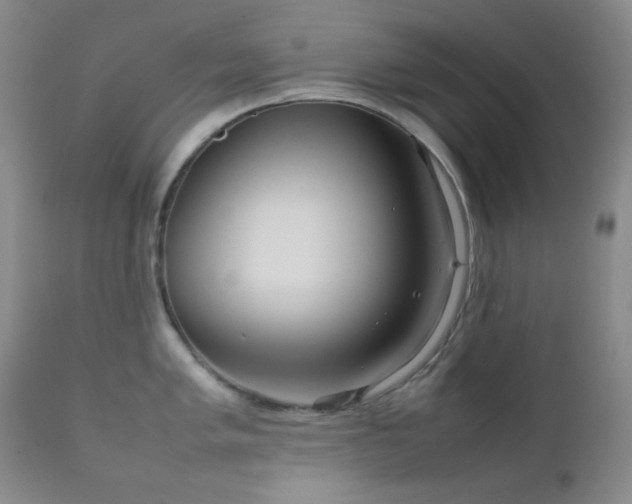 X0000111901005200907271153